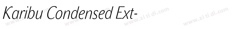 Karibu Condensed Ext字体转换